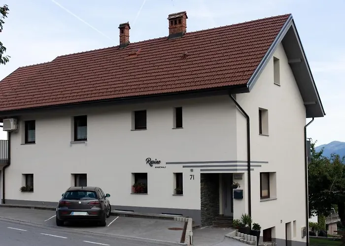Apartments Repinc