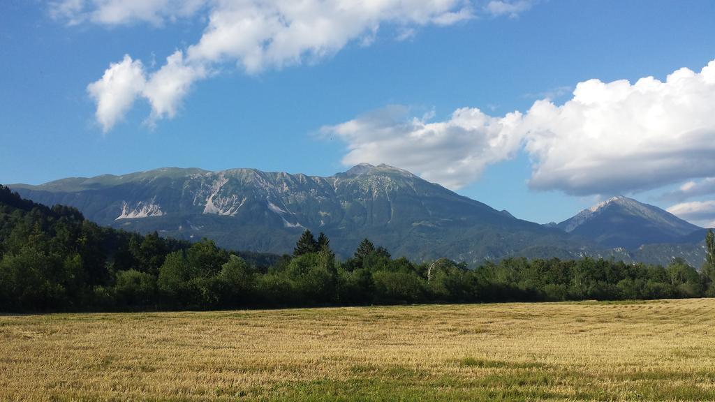 Repinc Bled